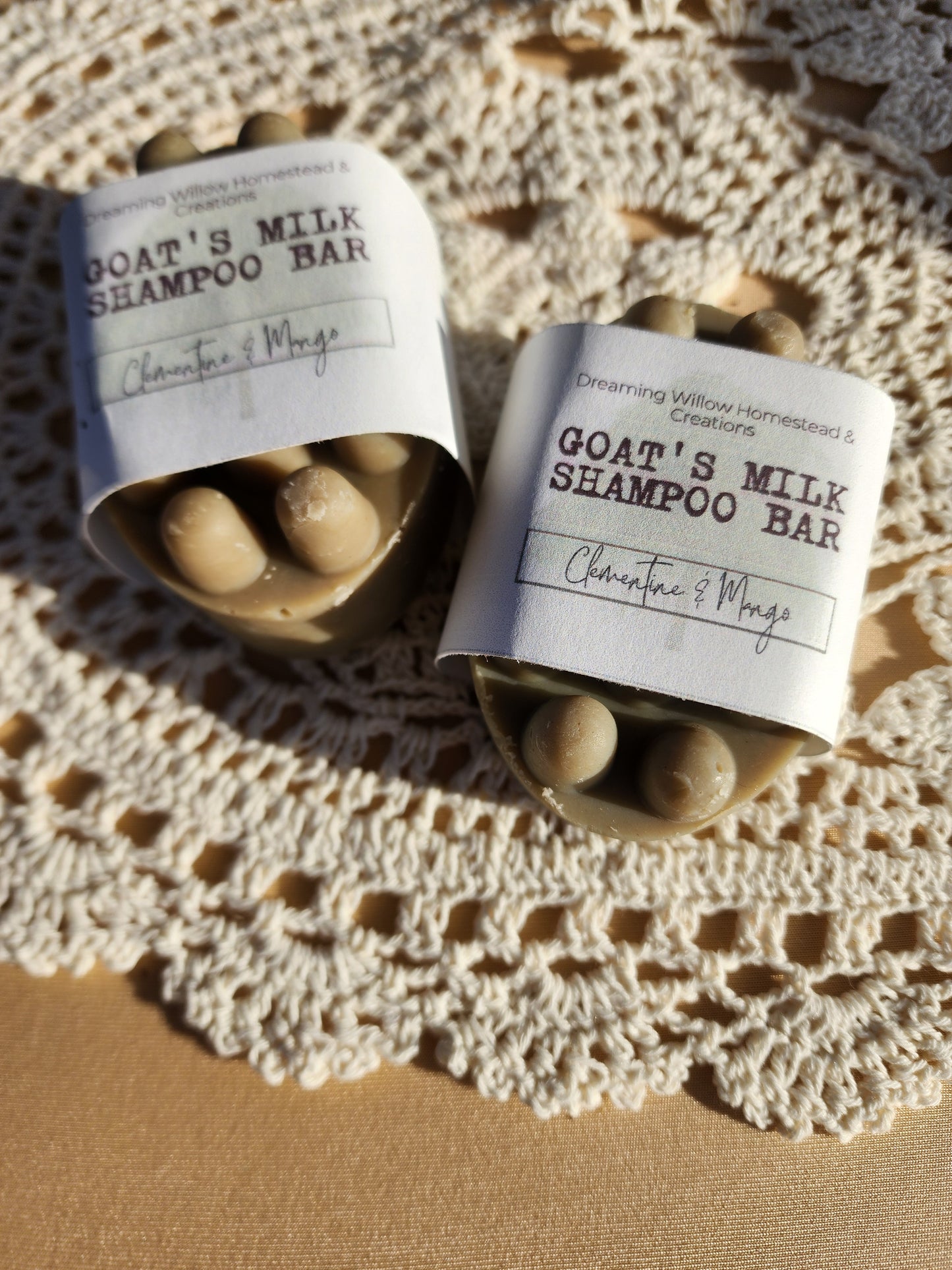 Shampoo & Conditioner Bars