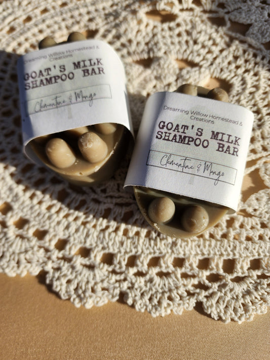 Shampoo & Conditioner Bars